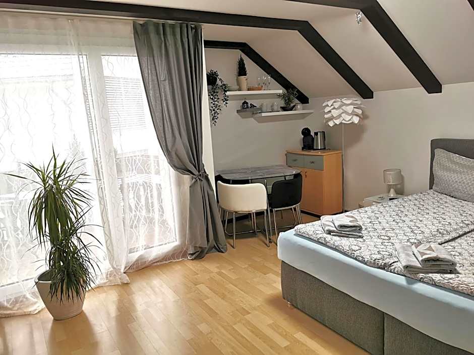 Apart Hotel near Lucerne