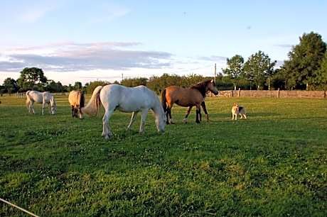 The Little Flock Farm