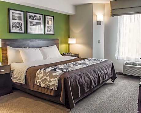 1 King Bed Smoking