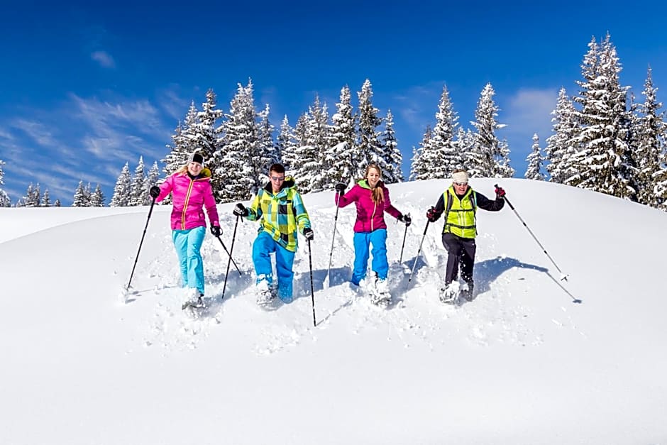 Dorf-Chalets Filzmoos mit Sauna