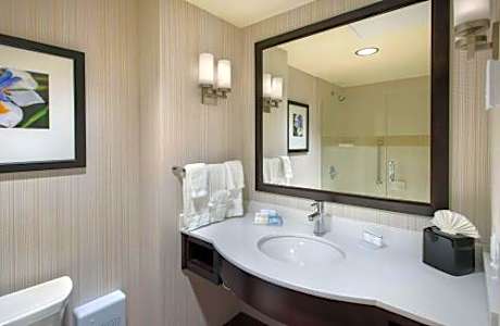 1 King Bed Partial River View