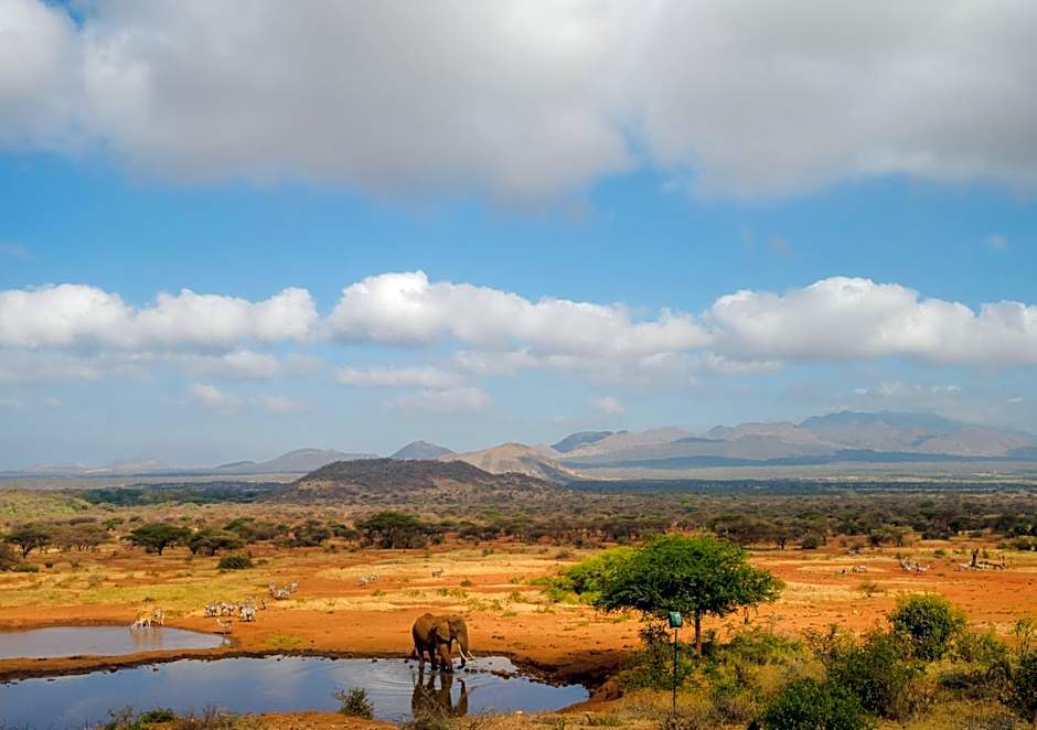 Kilaguni Serena Safari Lodge