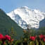 Hotel Sonne Interlaken-Matten