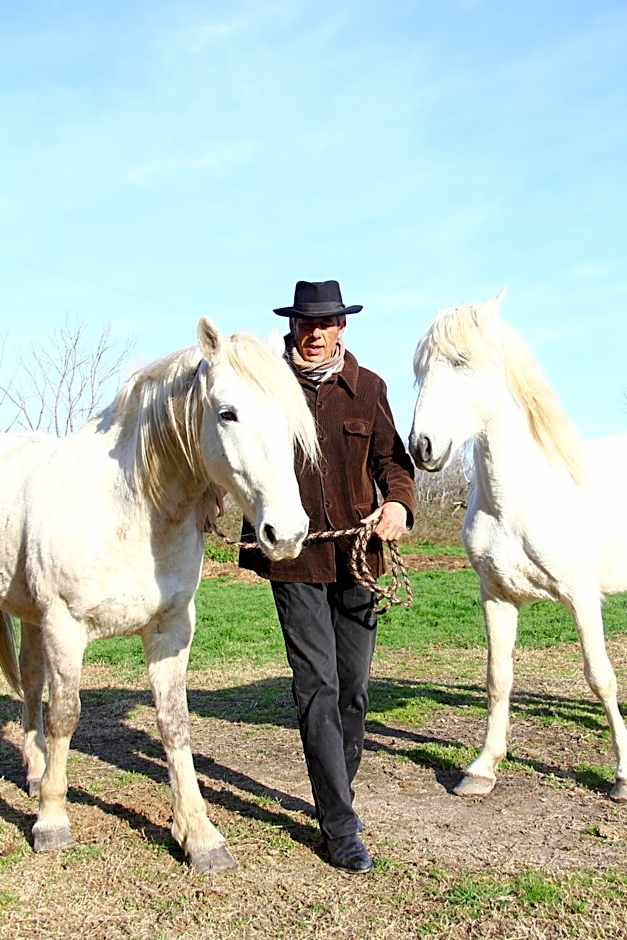 La roulotte "Les Saintes"