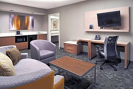 Suite, 1 Bedroom (1 Queen Bed and 1 Double Sofa Bed)