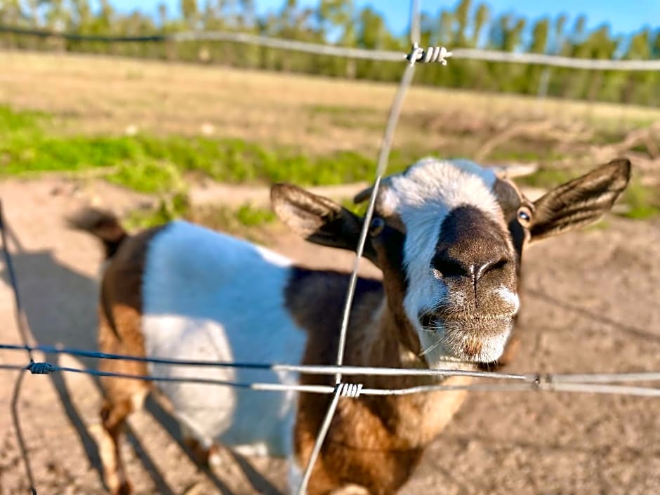 Affittacamere Soleluna