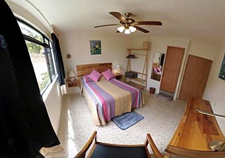 Casa de las Palmas Guest House