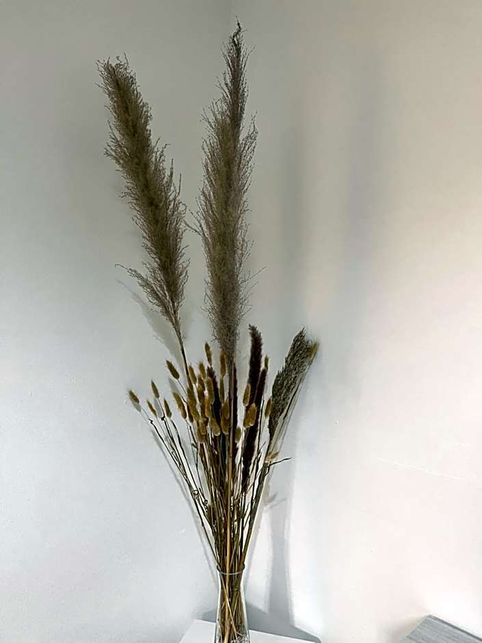 Castramajora Alloggi