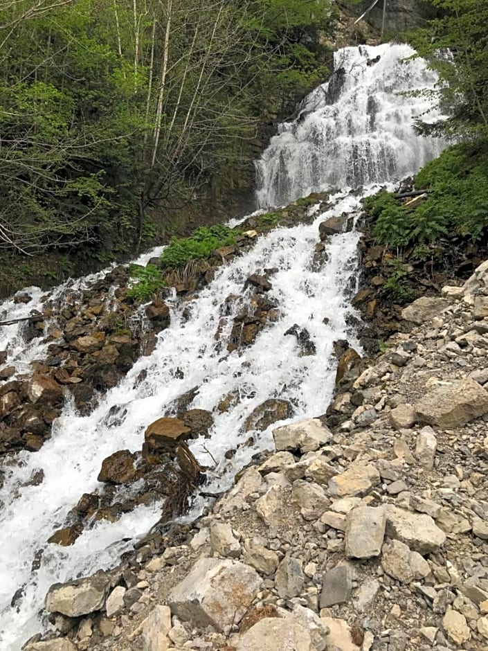 Il Giardino degli Elfi