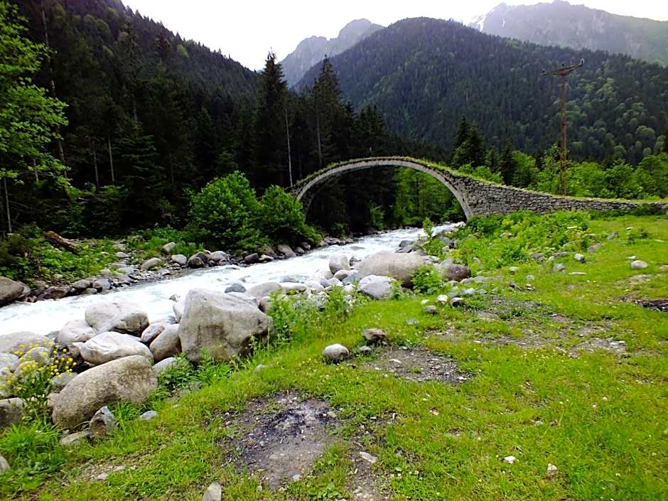 Teona Bungalow & Restaurant