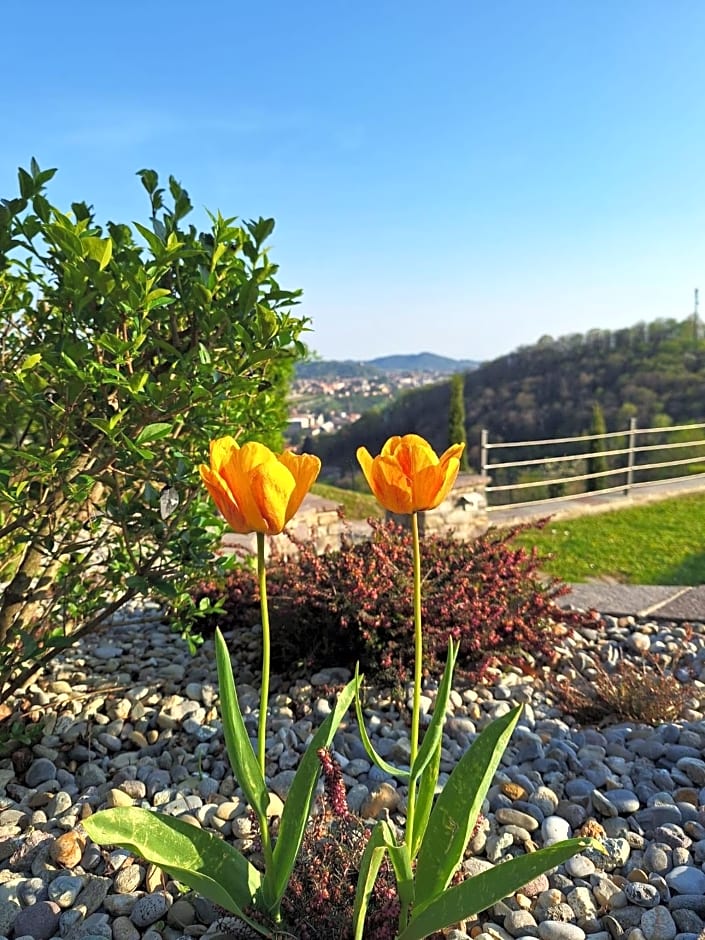Villa Duno a un passo da Città Alta