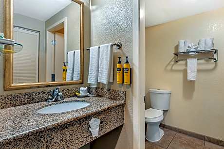 King Room with Roll-In Shower - Mobility Access