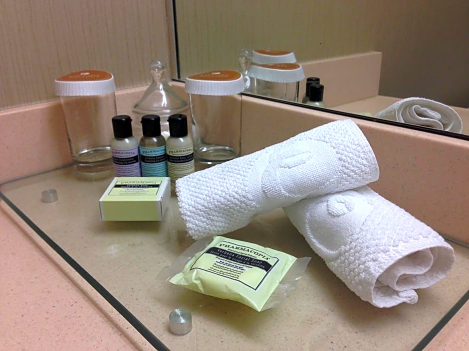 Executive Hotel Vancouver Airport