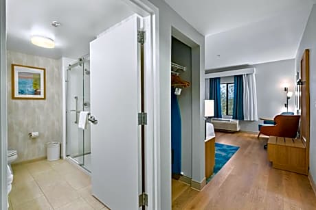 King Room with King Bed - Non-Smoking