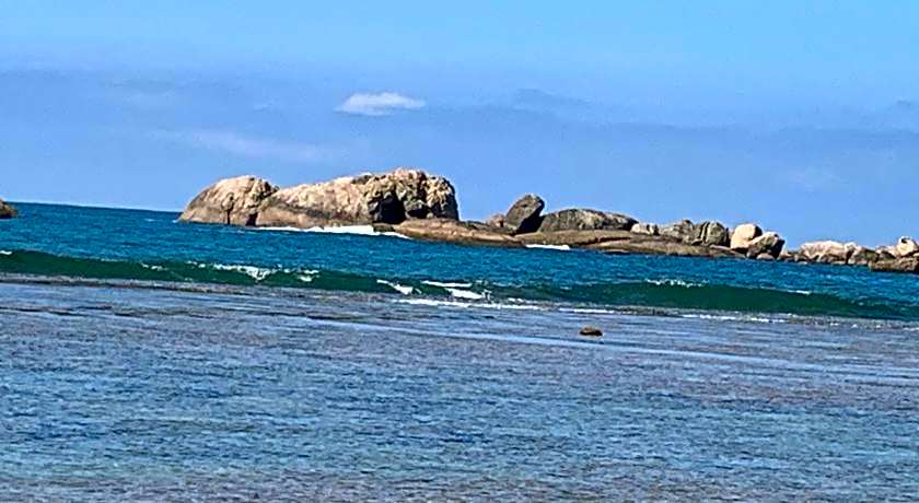 Curry Bowl Restaurant & Turtles Rest