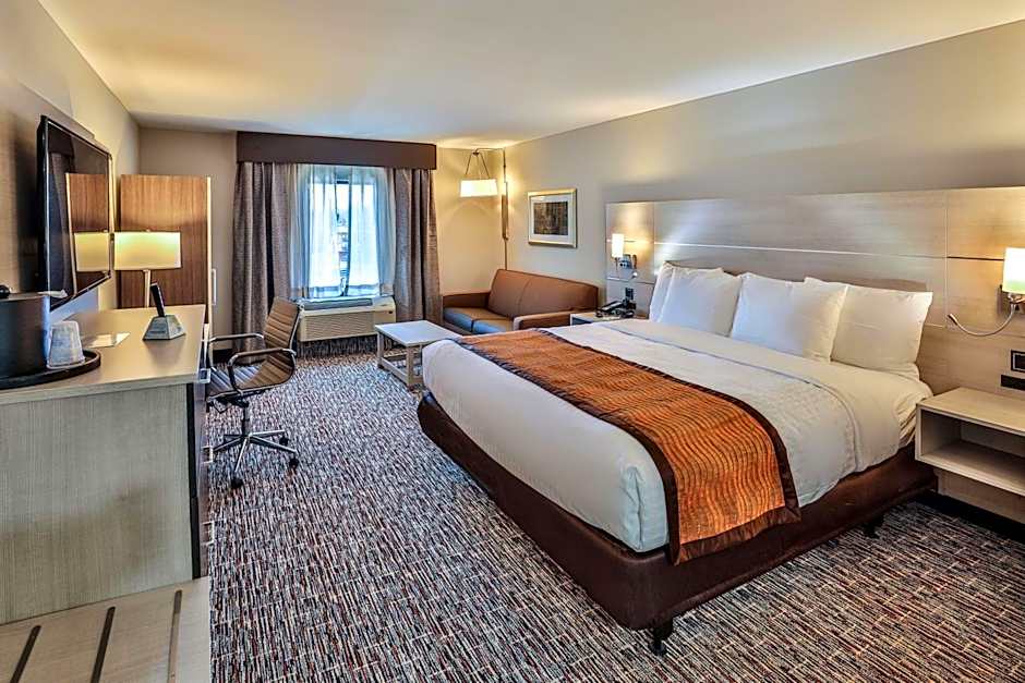 Photo 1 of 4 of 1 King Bed with Sofabed Suite
