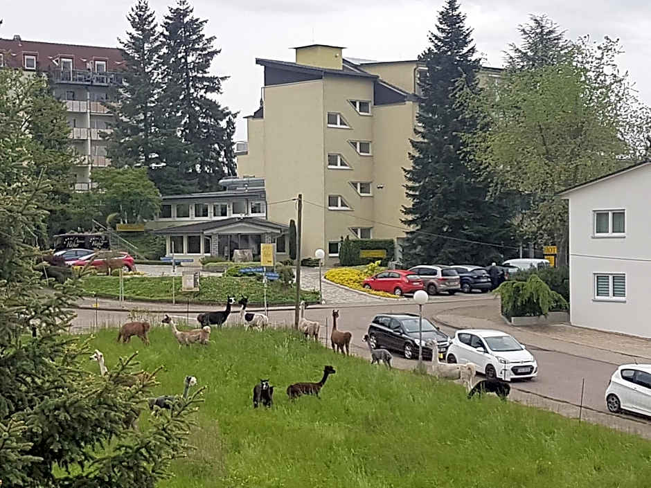 Hotel Hafner