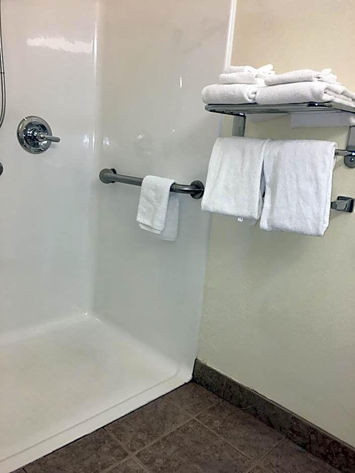 Microtel Inn & Suites By Wyndham Indianapolis Airport