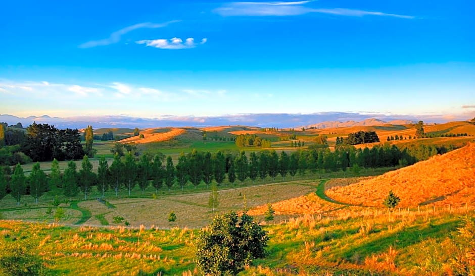 Tree House Lodge Bed & Breakfast