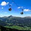Alp-Chalet