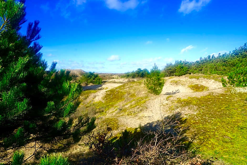 Bed and Breakfast Kik en Bun