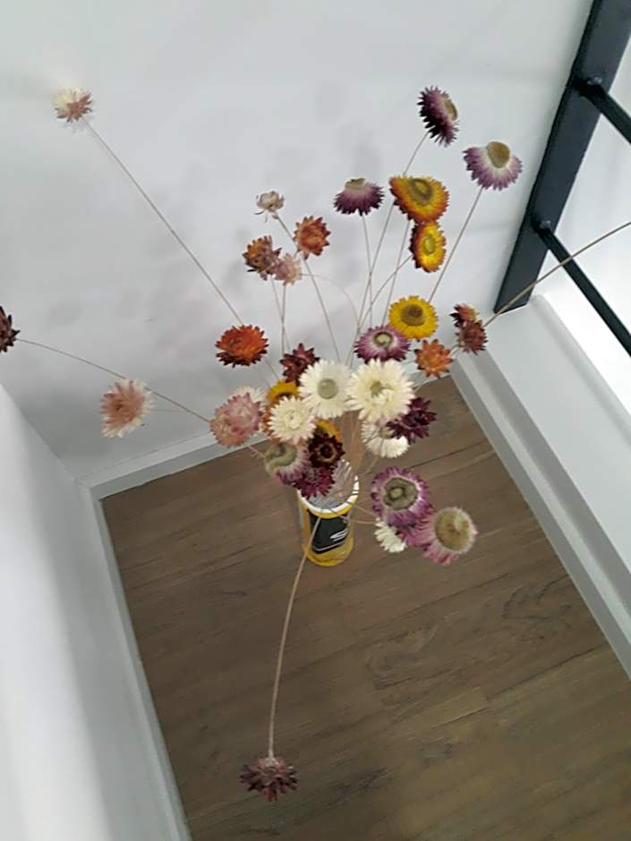 New Loft Modern Home