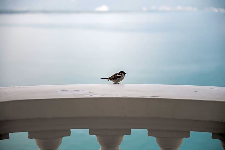 Hôtel du Grand Lac Excelsior