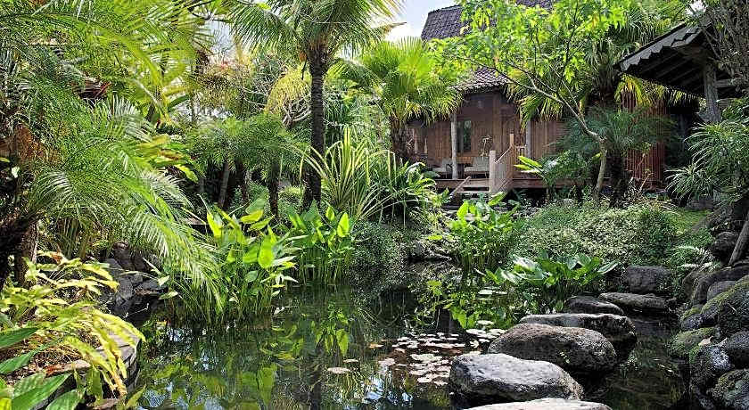 Dea Villas by Elite Havens