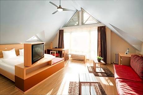 STUDIO No 301 - 45qm - with living and sleeping room - balcony lake view