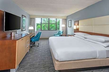 King Room Accessible Tub - Mobility Access/Non-Smoking