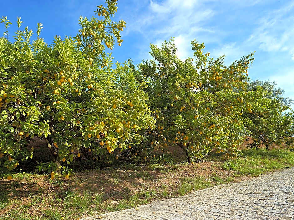 Montargil Monte Novo