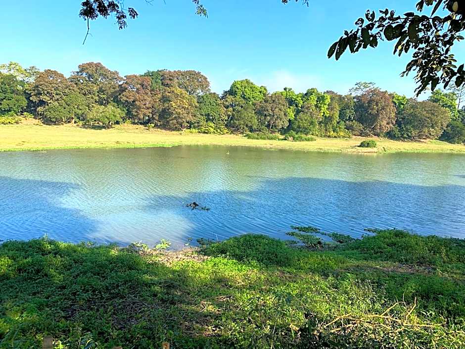 Jungleciti House Kaziranga National Park