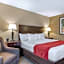Comfort Inn Lansing West