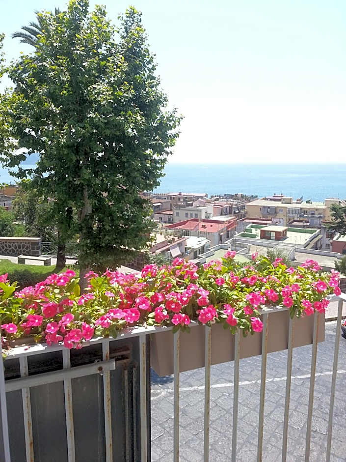 Villa Avellino Historic Residence