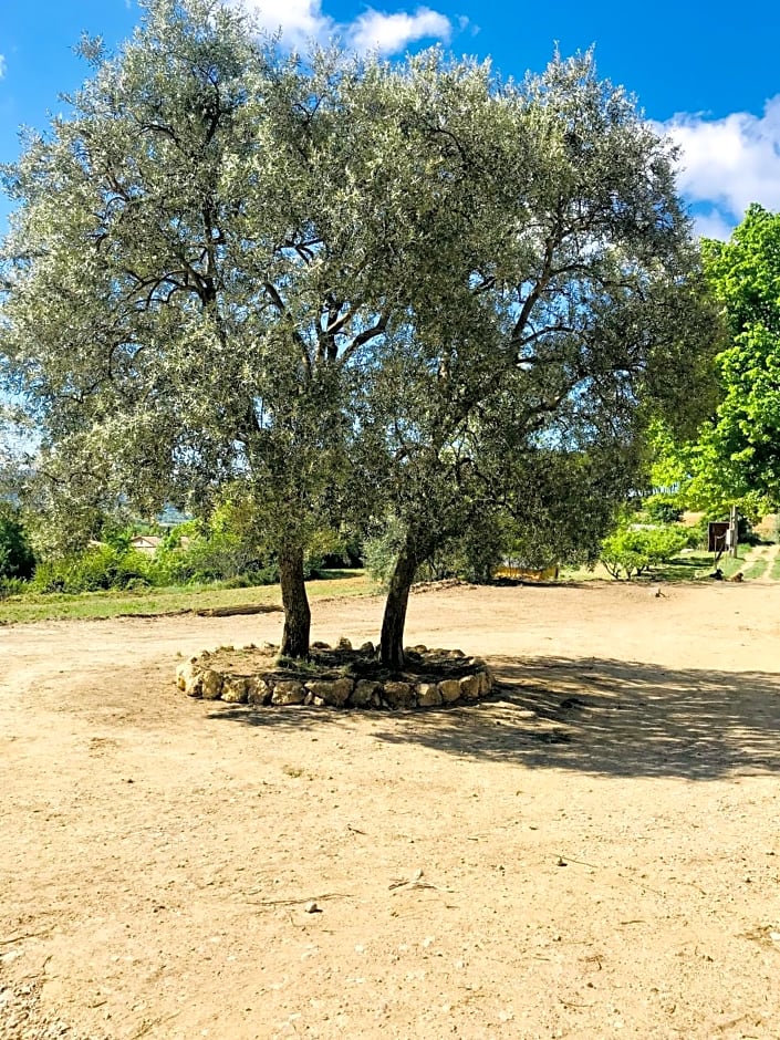 Bastide Bellugue Maison d'hôtes réseau Bienvenue à La Ferme à 3 minutes de Lourmarin