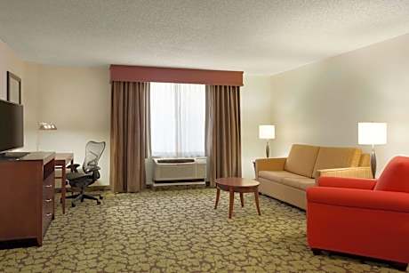 Executive King Suite