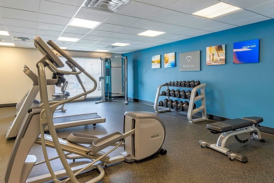 Comfort Suites Near Sam Houston Race Park