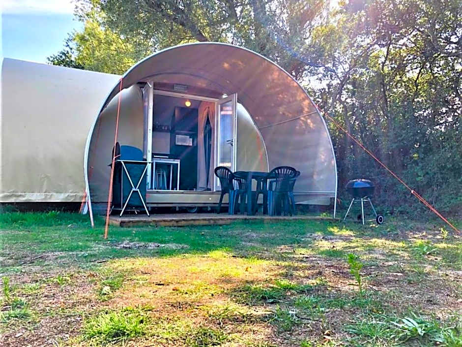 Les Insolites du Brochet