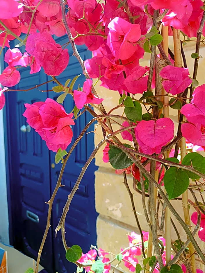 Follow the Sun Boutique Hostel - Pool, Breakfast & Sea Views