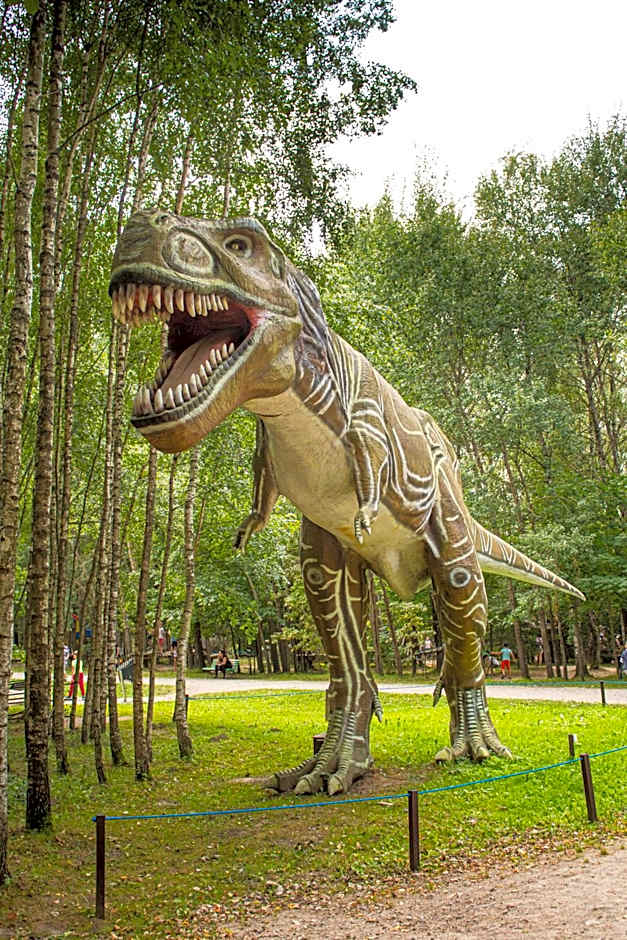 AKIS namelis medyje- Dinosaur Park