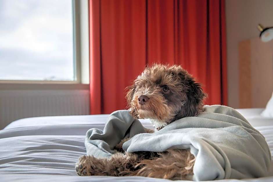 Kviberg Park Hotel & Conference