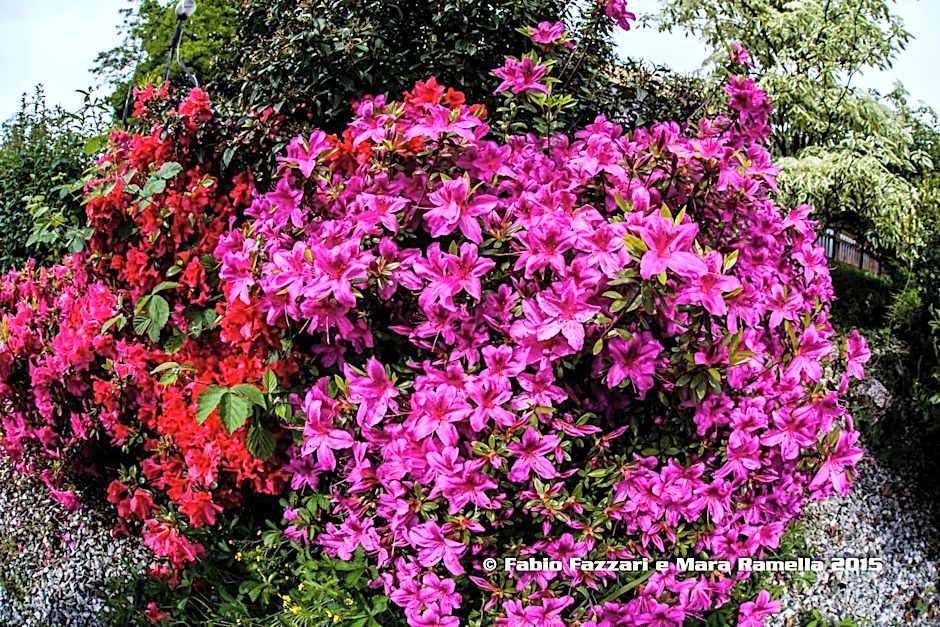 Agriturismo Parco Campofelice