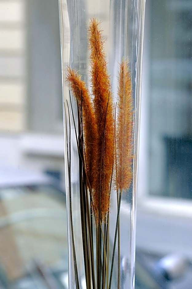 Auriane Porte De Versailles