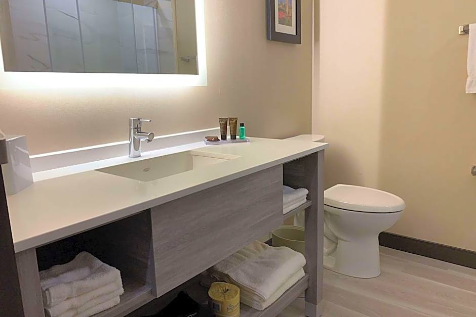 Wingate by Wyndham Kanata West Ottawa