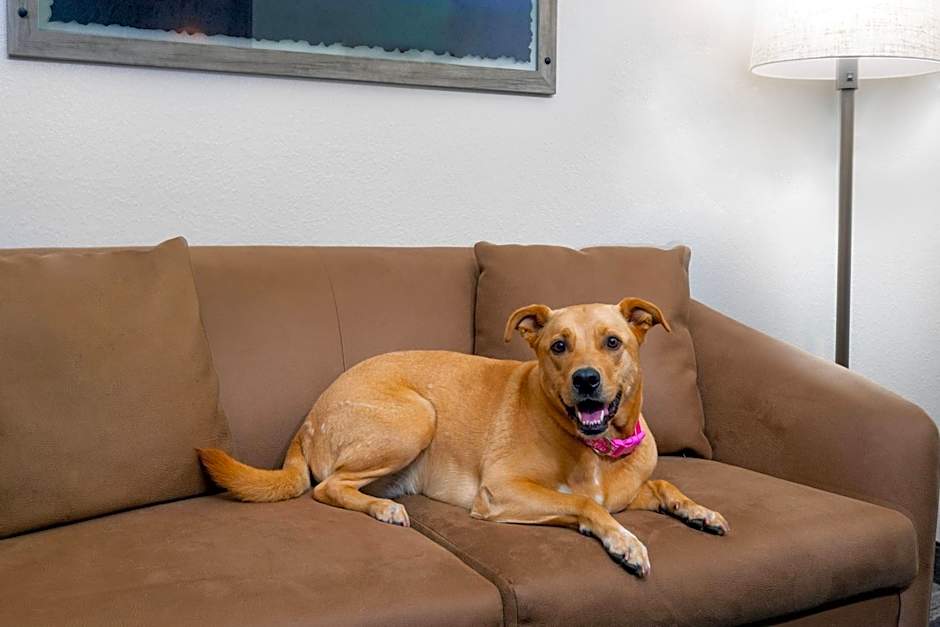 Fairfield Inn & Suites by Marriott Clearwater