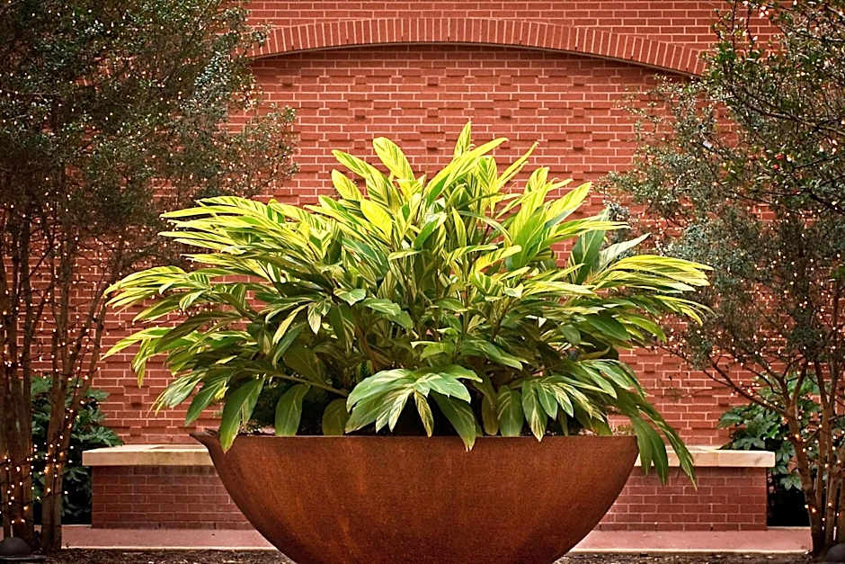 Houston Marriott Sugar Land