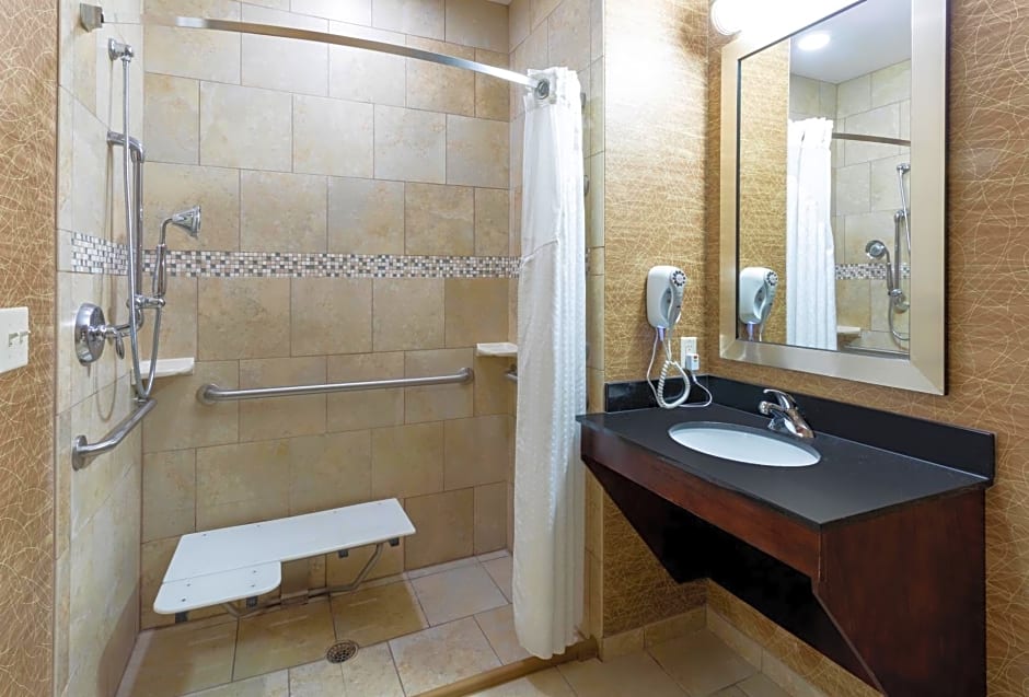 Holiday Inn Express and Suites Rochester West-Medical Center By IHG