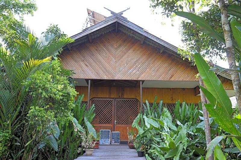 Rimba Orangutan Eco Lodge