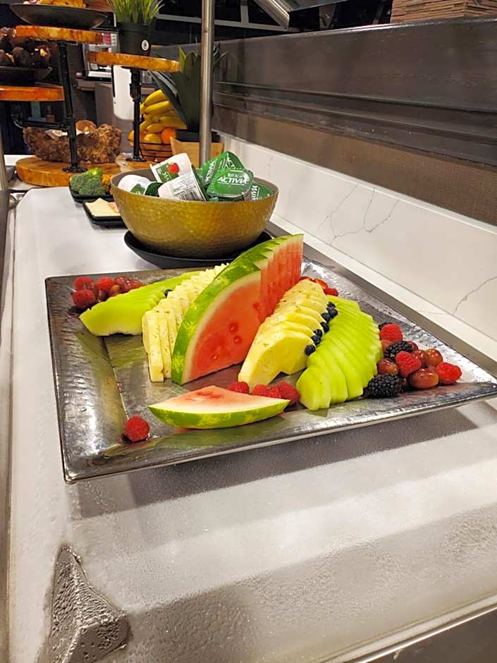 Hilton Winnipeg Airport Suites