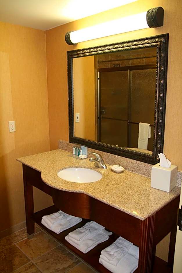 Hampton Inn By Hilton & Suites Mccomb